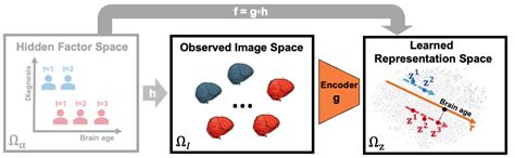 Longitudinal Deep Learning CNS LAB