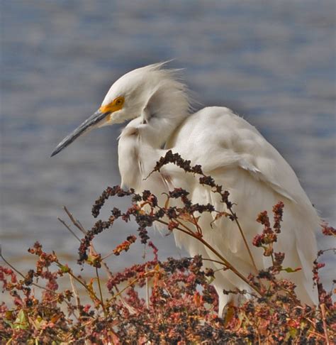 Malibu Lagoon – MK pix