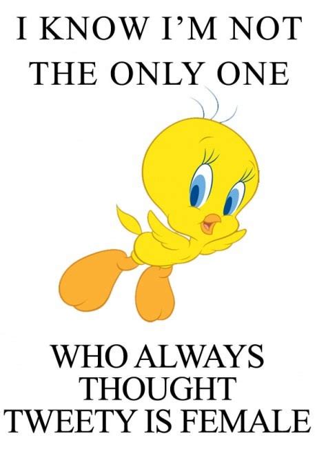 Famous Tweety Bird Quotes. QuotesGram