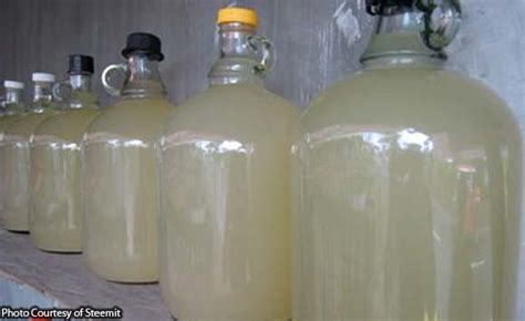lambanog check   methanol       drink