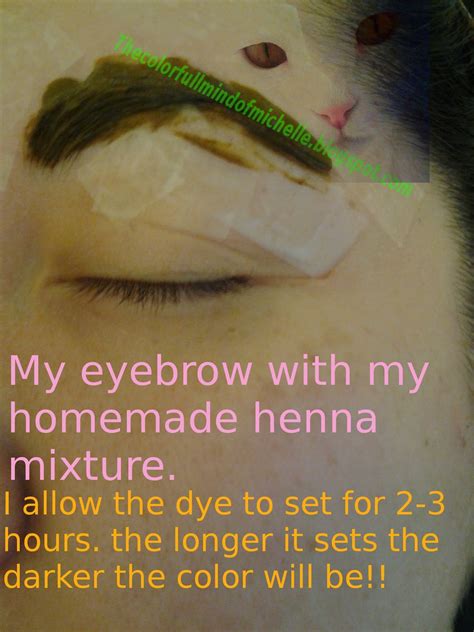 Mind of Michelle: How to: Dye eyebrows using Henna.