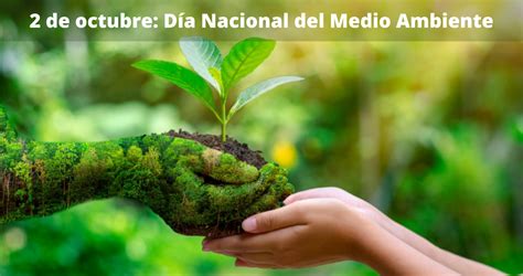 2 De Octubre Dia Nacional Del Medio Ambiente