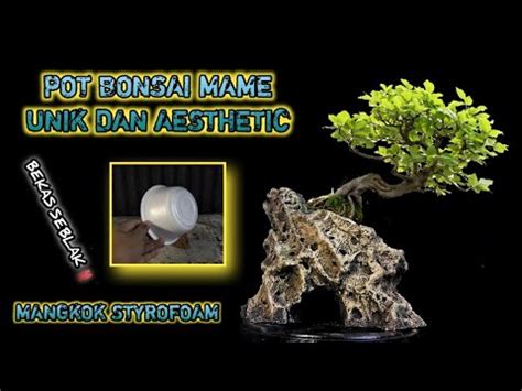 MANGKOK STYROFOAM Cara Mudah Dan Cepat Membuat Pot Bonsai Mame Relief