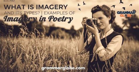 What Is Imagery And Its Types Examples Of Imagery In Poetry