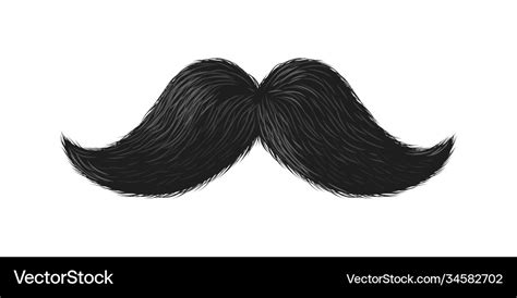 Moustache Vector