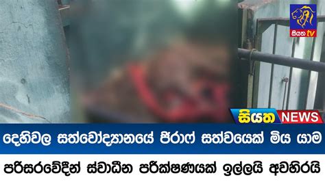 දෙහිවල සත්වෝද්‍යානයේ ජිරාෆ් සත්වයෙක් මිය යාම ගැන පරිසරවේදීන් ස්වාධීන පරීක්ෂණයක් ඉල්ලයි Siyatha