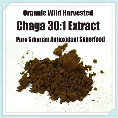 Siberian Chaga Mushroom 301 Extract Powder Organic Polyose Extract In