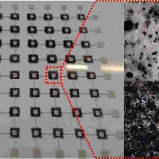 Scanning electron microscope images showing optical micrographs of ... 