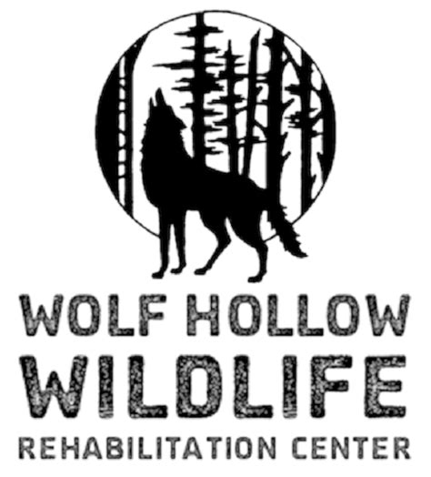 wolf hollow - Clip Art Library