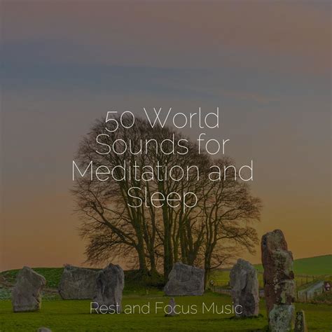 World Sounds For Meditation And Sleep Album By Exam Study