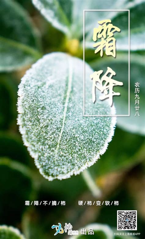 二十四节气丨霜降，秋天最后的节气