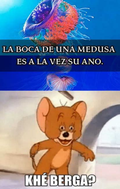 Kh Berga Meme Subido Por Roldandave Memedroid