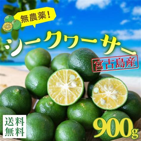 シークワーサー 900g 沖縄産 無農薬 宮古島から産地直送！送料無料 生の実 果実 青切り シークヮーサー Si Kuwa Sa800