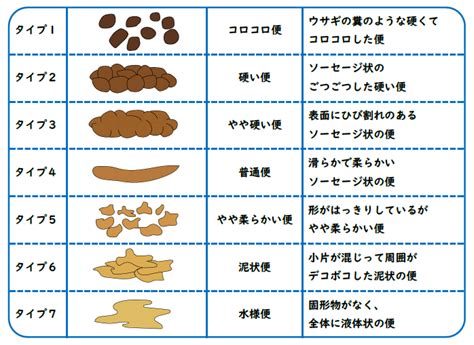 まいにちの”便”の健康を考える