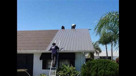 Metal Roofing Tampa By Restoring Florida Homes Youtube