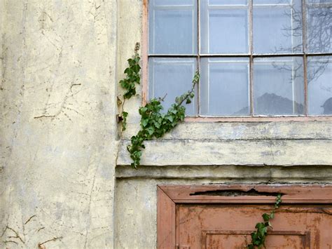 Kostenlose Foto Holz Haus Fenster Alt Zuhause Mauer Balkon