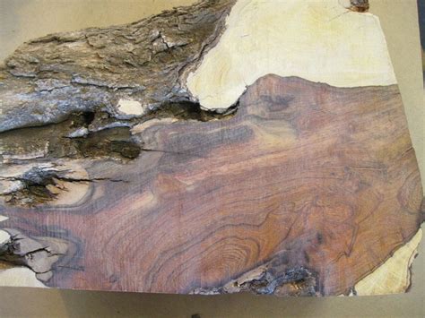 Desert Ironwood Updates By Seer Woodworking Community