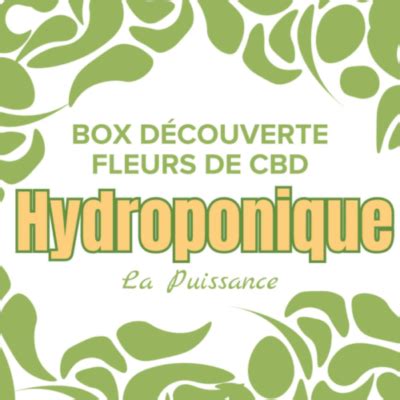 BOX DÉCOUVERTE CBD HYDROPONIE Le plaisir d offrir CBDOO fr