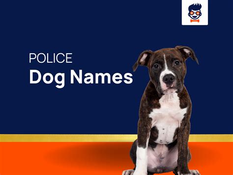 1130+ Coolest Police Dog Names You've Never Heard Of!