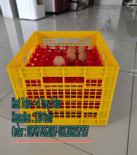 cara membuat bolu panggang telur 4 18
