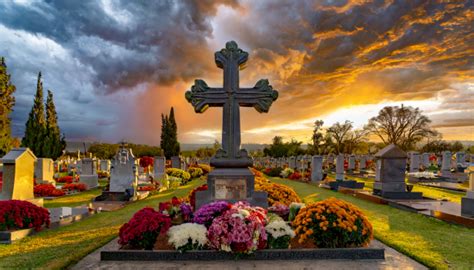 Cemetery, All Souls Day, Chrysanthemums Free Stock Photo - Public Domain Pictures