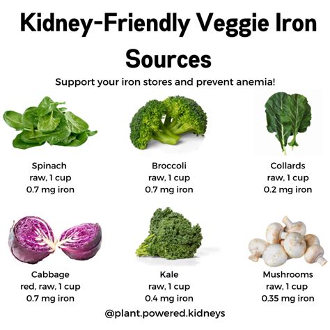 Iron Rich Foods For Anemia List Deporecipe Co