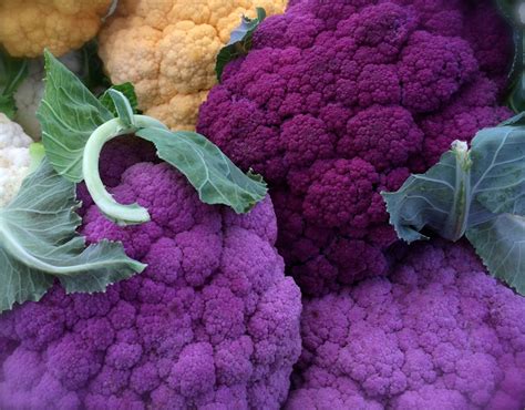 Cauliflower Heirloom Purple Of Sicily Seeds Rare