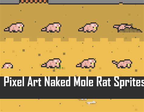 2D Pixel Art Naked Mole Rat Sprites By Elthen S Pixel Art Shop