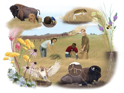 Representing ‘true interdisciplinary work,’ NIU study finds people