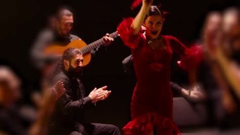 Flamenco Dancer Man