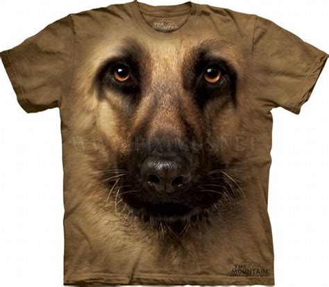 Animals on T-Shirts | Fun