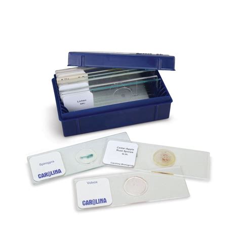 Microorganisms Elementary Microscope Slide Set | Carolina Biological Supply