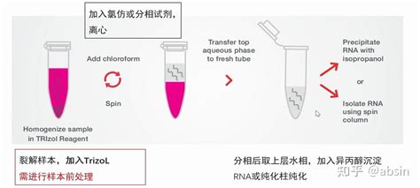 RNA分离解决方案值得信赖 知乎