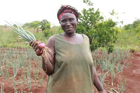 Ugandan Farmers Prove the Power of Agroforestry