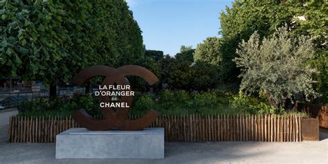 Découvrez la Fleur d Oranger de Chanel à travers un voyage olfactif et