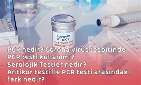 PCR nedir Corona virüs tespitinde PCR testi kullanımı Serolojik