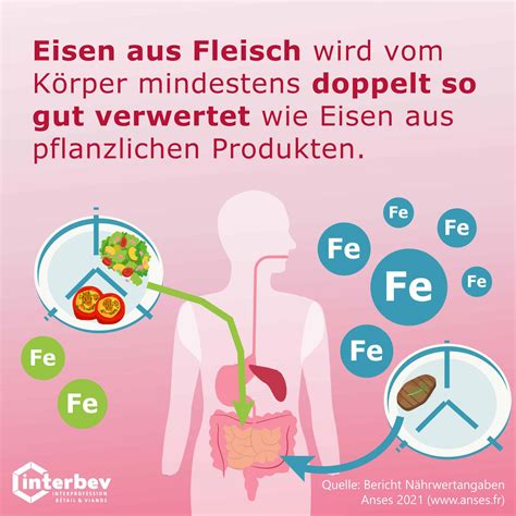 Hochwertiges Fleisch Ganz Bewusst Genie En Charoluxe