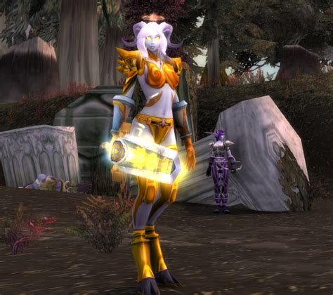 Lamenting the Lightforged Draenei Paladin from Moon Guard is leveling ...