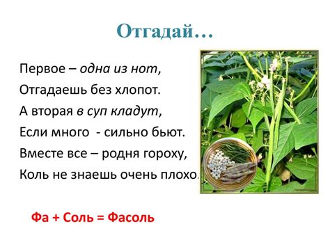Занимательная ботаника - презентация онлайн