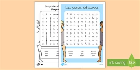 Sopa De Letras Las Partes Del Cuerpo Hecho Por Educadores