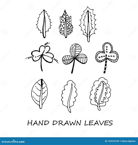 Hand Drawn Leaves Doodles Set Black Silhouettes On White Background