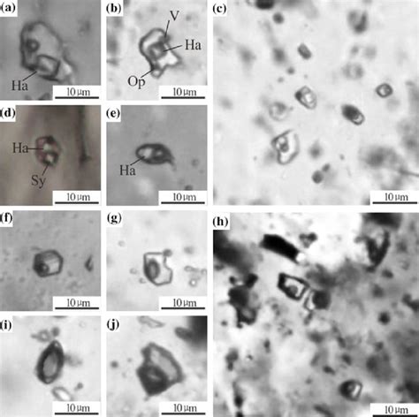 1 Fluid Inclusion Fi Photomicrographs Of The Galinge Granodiorite At