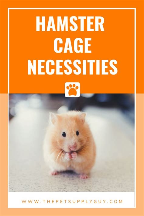 The Hamster Cage Necessities Are Important For Small Animals To Keep In