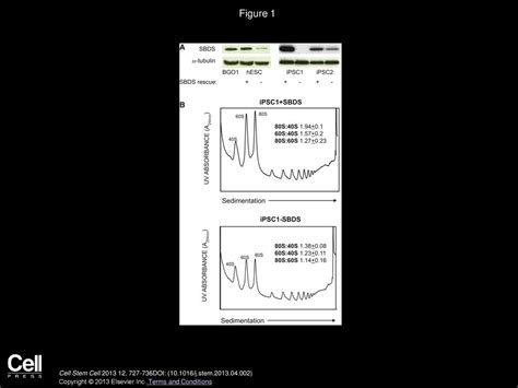 Volume 12, Issue 6, Pages (June 2013) - ppt download