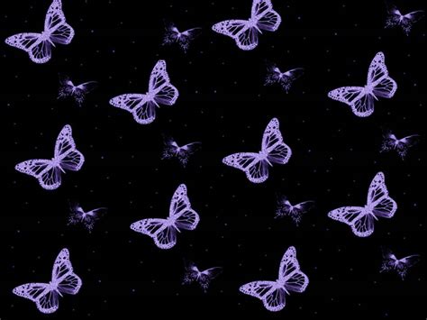 cute black purple butterfly pattern wallpaper wallpaperscom