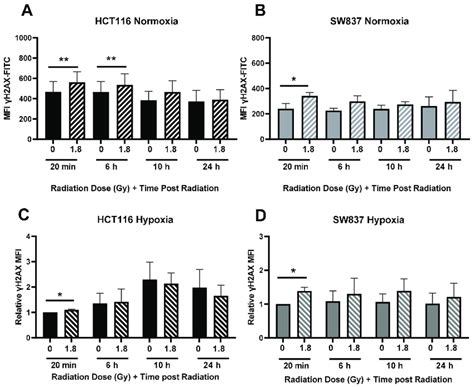 Radiation-induced DNA damage induction and repair in HCT116 and SW837 ... 