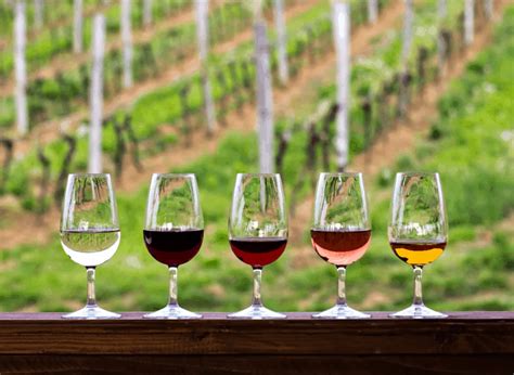 Best Wine Tasting Florence: 13 Amazing Expert Picks for 2023