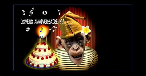 Bon Anniversaire Humour Singe Blageusfree