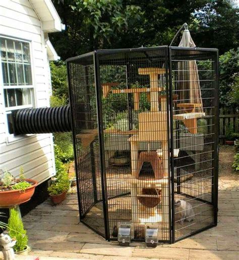 30 Free Diy Catio Plans Diy Outdoor Cat Enclosure