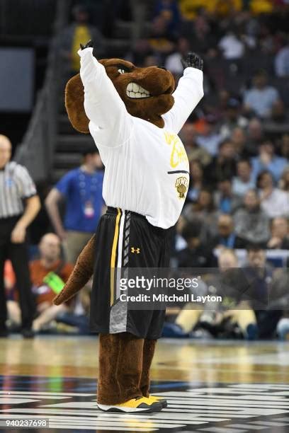 35 Umbc Mascot Stock Photos, High-Res Pictures, and Images - Getty Images